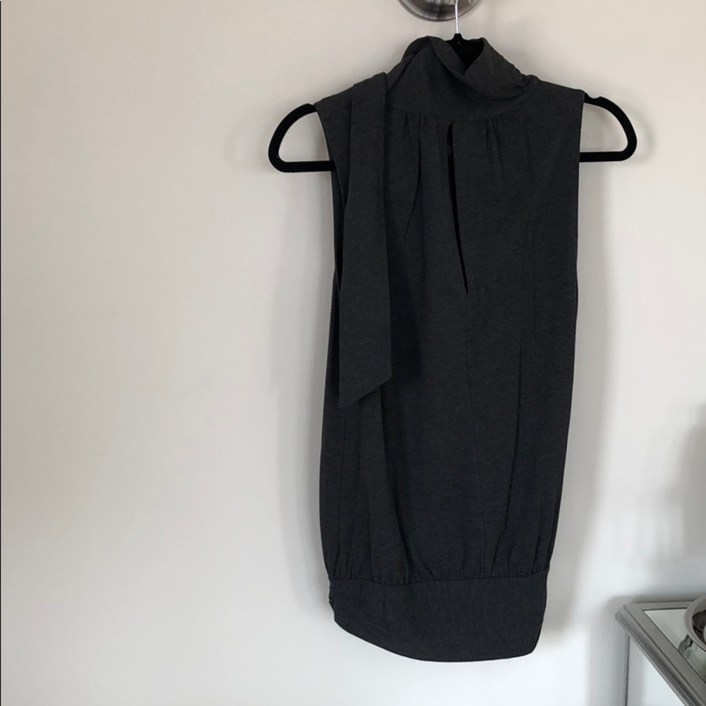 Gray Theory top S